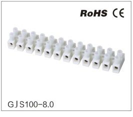 GJS100-8.0
